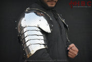 polish army armor