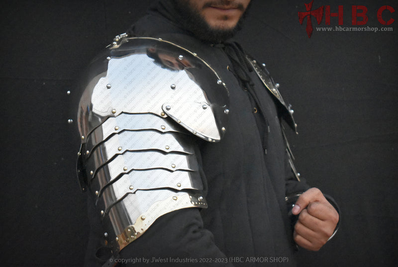 polish army armor